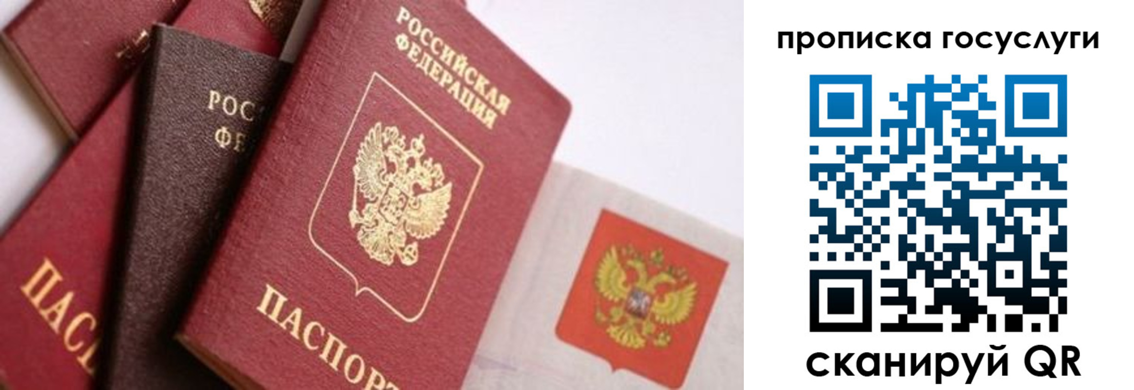 прописка законно в Черепаново